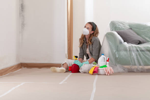 Reliable Mold Remediation contractor in Danville, VA by Cheap Mold Removal